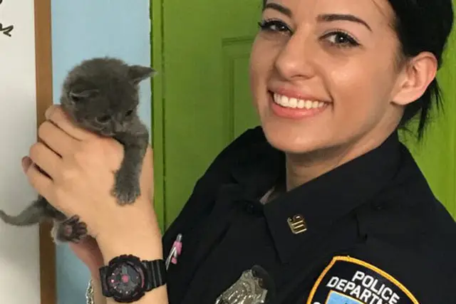 Officer Pirdis and a kitten on March 15